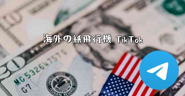 海外の紙飛行機 TikTok