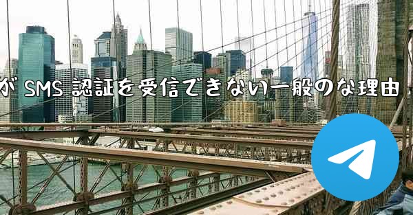 Paper Plane が SMS 認証を受信できない一般のな理由