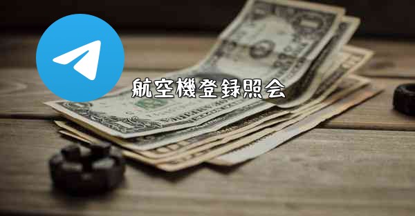 <b>航空機登録照会</b>