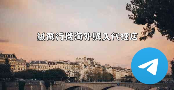 紙飛行機海外購入代理店