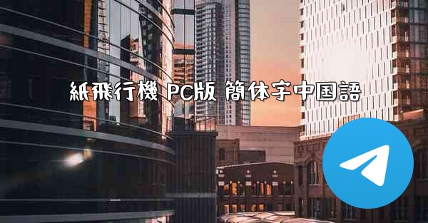 紙飛行機 PC版 簡体字中国語