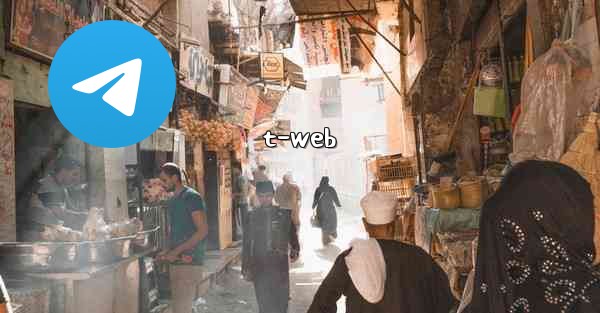 <b>t-web</b>
