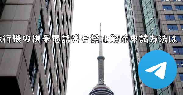 紙飛行機の携帯電話番号禁止解除申請方法は