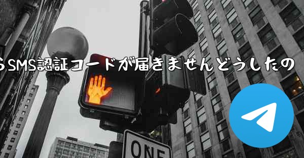 Paper PlaneからSMS認証コードが届きませんどうしたの