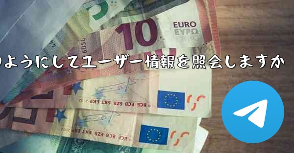 Paper Plane はどのようにしてユーザー情報を照会しますか