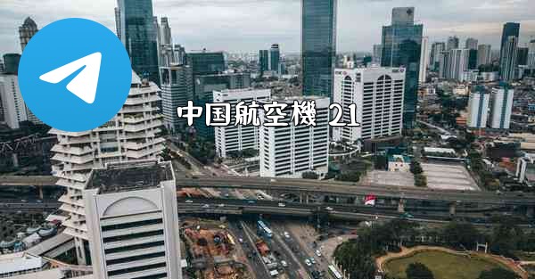 中国航空機 21
