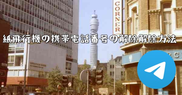 紙飛行機の携帯電話番号の解除解除方法