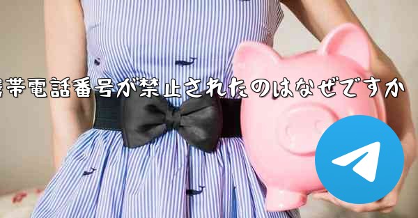 <b>Paper Plane の携帯電話番号が禁止されたのはなぜですか</b>