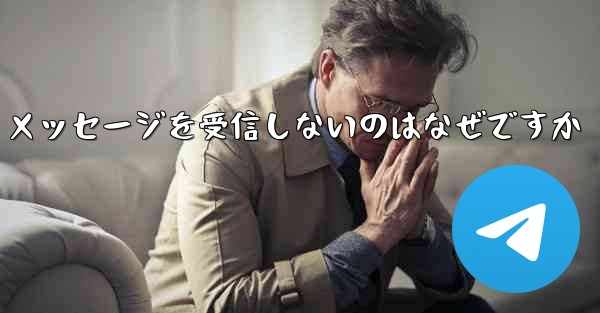 <b>Paper Plane が確認テキスト メッセージを受信しないのはなぜですか</b>