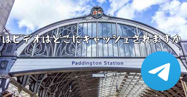 Web バージョンの Paper Plane telegeram ではビデオはどこにキャッシュされますか