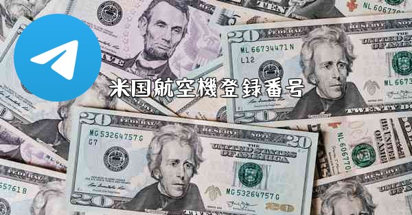 米国航空機登録番号