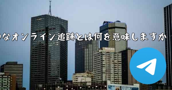 航空機フライトのリアルタイムの動のなオンライン追跡とは何を意味しますか