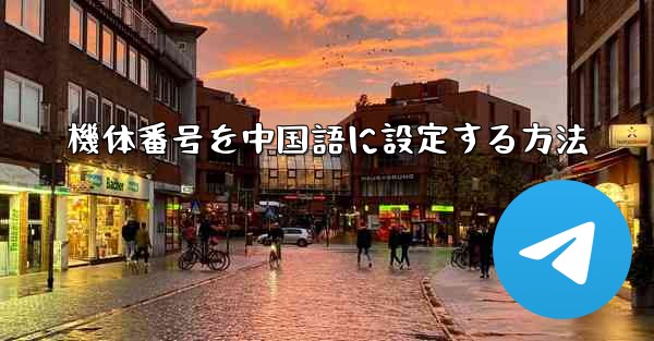 機体番号を中国語に設定する方法