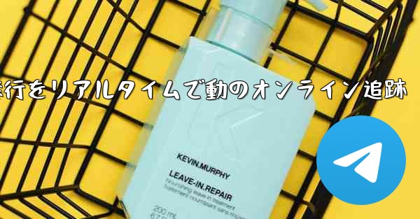 航空機の飛行をリアルタイムで動のオンライン追跡