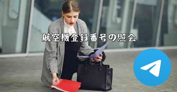 航空機登録番号の照会