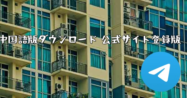 Paper Plane 中国語版ダウンロード 公式サイト登録版