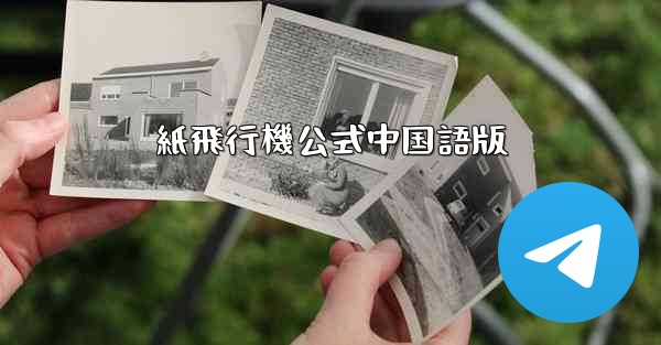 紙飛行機公式中国語版