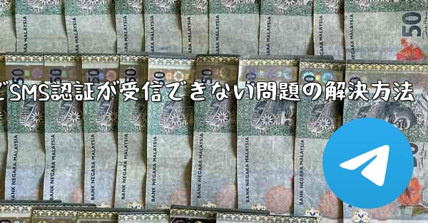 飛行機内でSMS認証が受信できない問題の解決方法