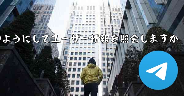 Paper Plane はどのようにしてユーザー情報を照会しますか