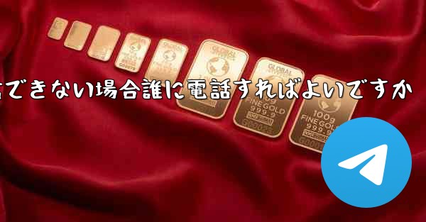 Paper Plane が確認テキスト メッセージを受信できない場合誰に電話すればよいですか