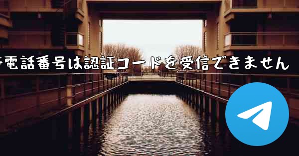 Paper Plane の携帯電話番号は認証コードを受信できません