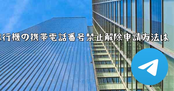 紙飛行機の携帯電話番号禁止解除申請方法は