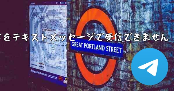 紙飛行機の認証コードをテキストメッセージで受信できません