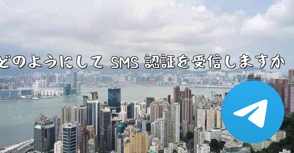 Paper Plane はどのようにして SMS 認証を受信しますか