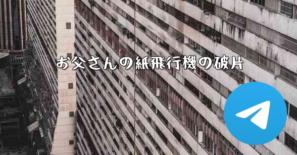 お父さんの紙飛行機の破片