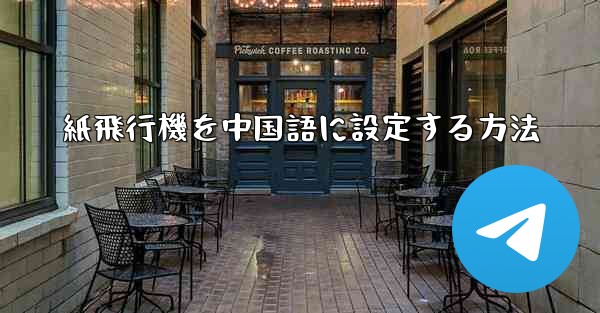 紙飛行機を中国語に設定する方法