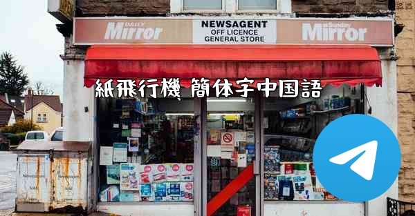 紙飛行機 簡体字中国語