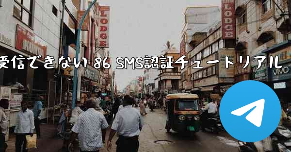 紙飛行機が受信できない 86 SMS認証チュートリアル