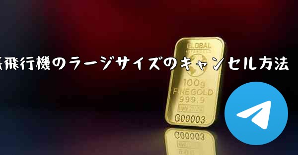 紙飛行機のラージサイズのキャンセル方法