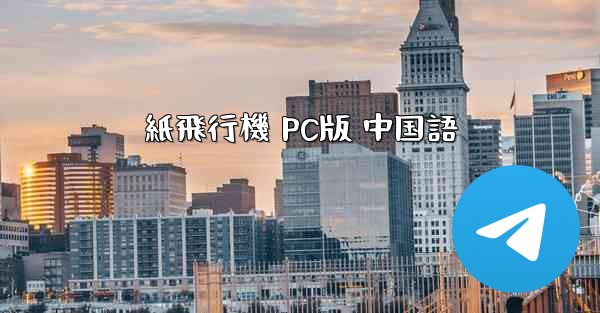紙飛行機 PC版 中国語