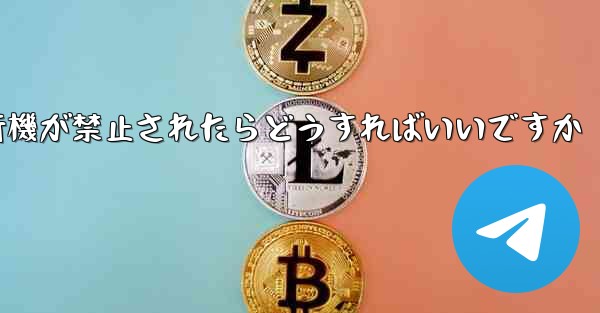 紙飛行機が禁止されたらどうすればいいですか