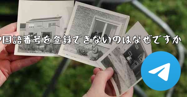 紙飛行機の中国語番号を登録できないのはなぜですか