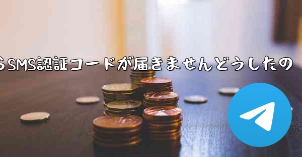 <b>Paper PlaneからSMS認証コードが届きませんどうしたの</b>