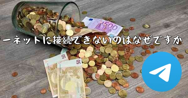 中国では紙飛行機ソフトウェアがインターネットに接続できないのはなぜですか