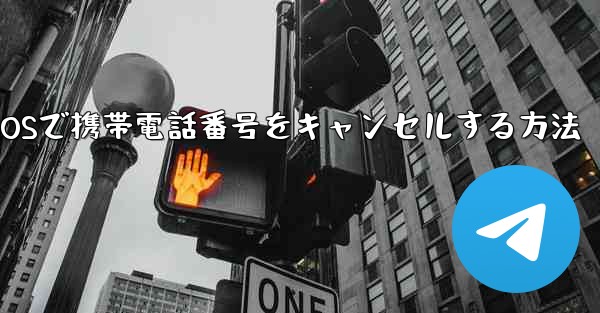 <b>Paper Plane iOSで携帯電話番号をキャンセルする方法</b>