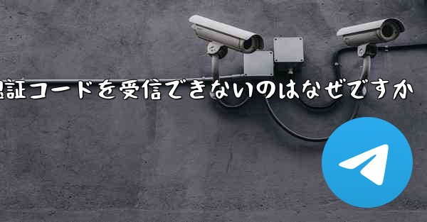 Paper Plane が認証コードを受信できないのはなぜですか