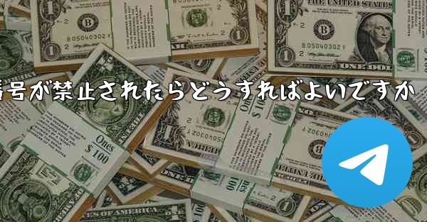 <b>私の紙飛行機の番号が禁止されたらどうすればよいですか</b>