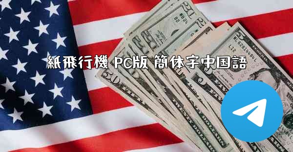 紙飛行機 PC版 簡体字中国語