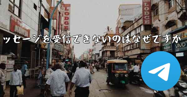 Paper Plane が確認コードのテキスト メッセージを受信できないのはなぜですか