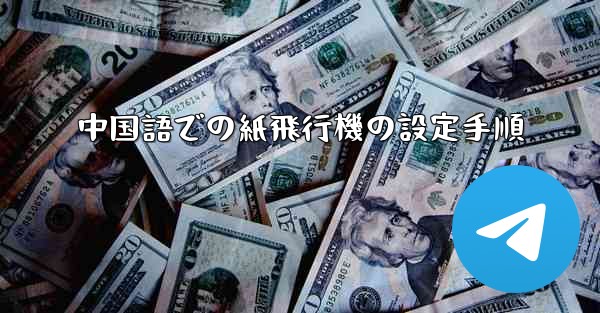 中国語での紙飛行機の設定手順