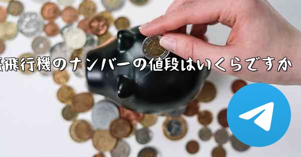 紙飛行機のナンバーの値段はいくらですか