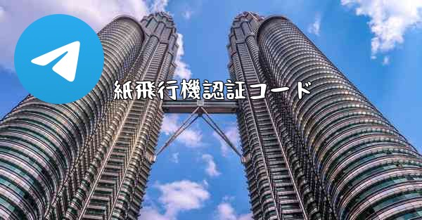 紙飛行機認証コード