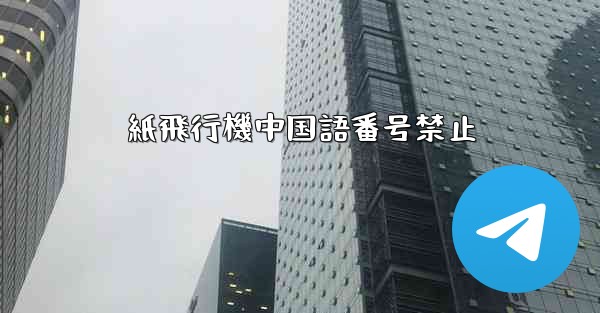 紙飛行機中国語番号禁止