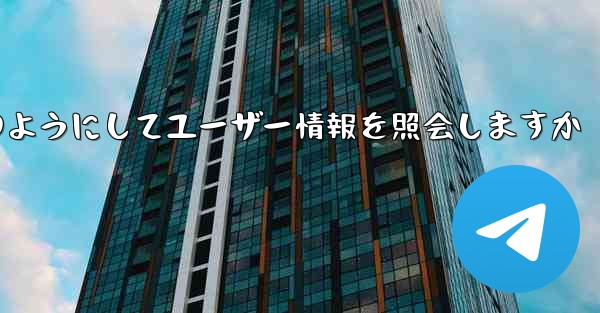 Paper Plane はどのようにしてユーザー情報を照会しますか