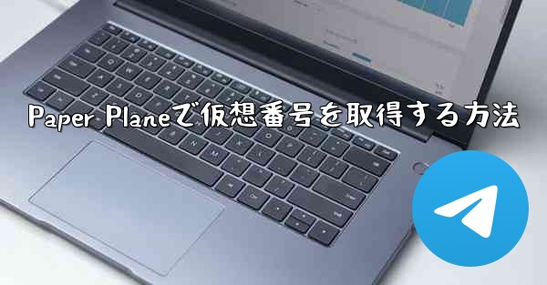 Paper Planeで仮想番号を取得する方法