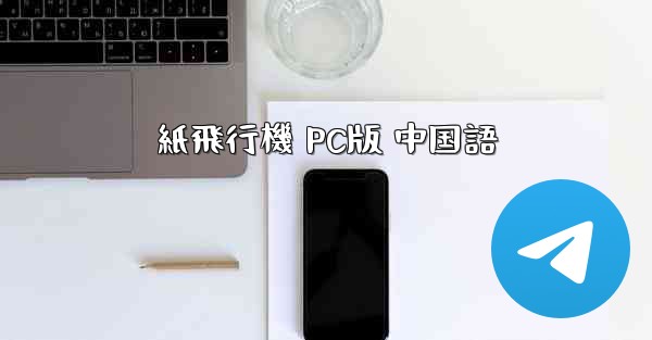 紙飛行機 PC版 中国語